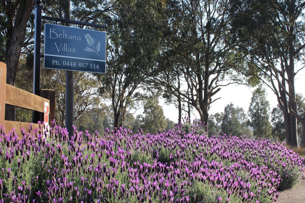 Beltana Villas Pokolbin Exteriér fotografie